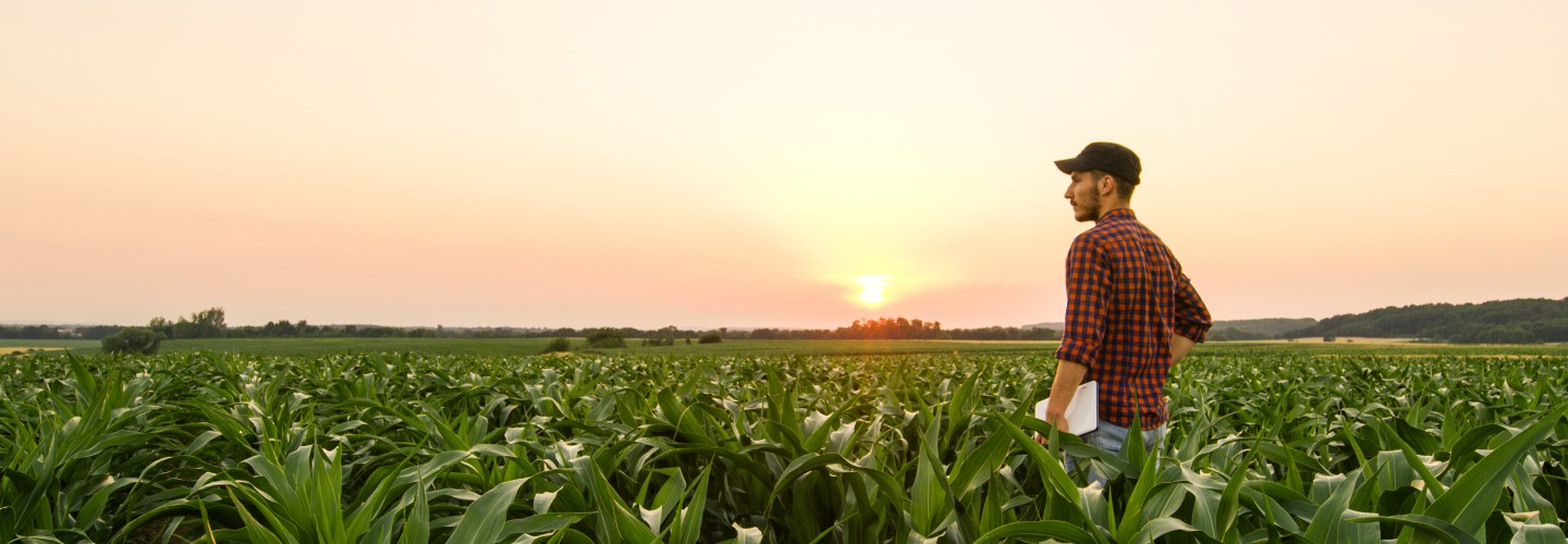 man in a corn field holding a notebook