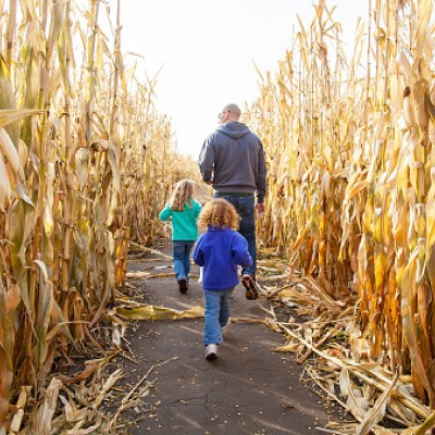family walking through a corn maze