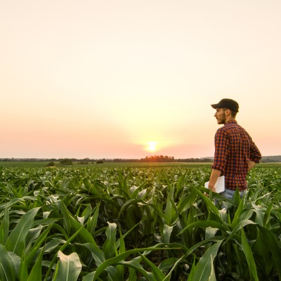 man with a notebook in a field